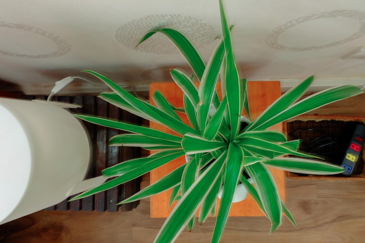 Magari Homestay Ho Chi Minh City Exterior photo