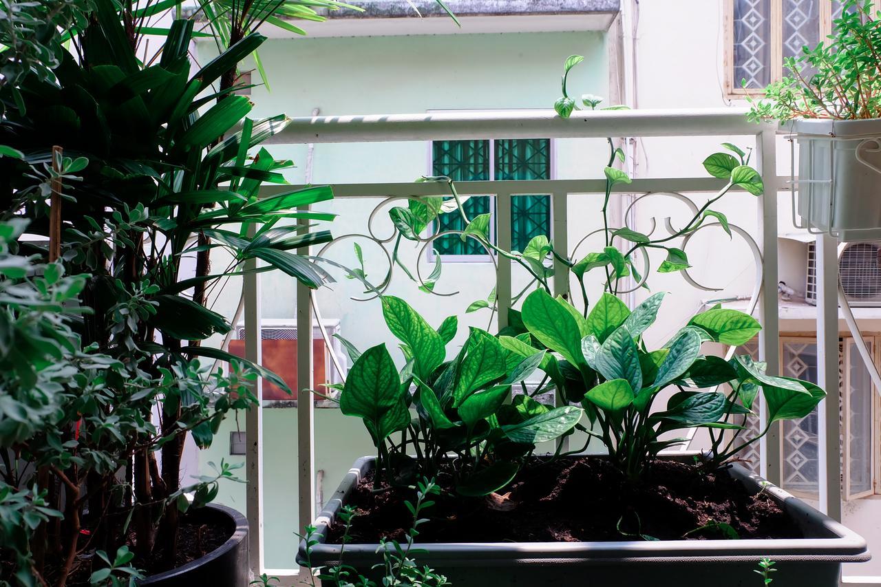 Magari Homestay Ho Chi Minh City Exterior photo